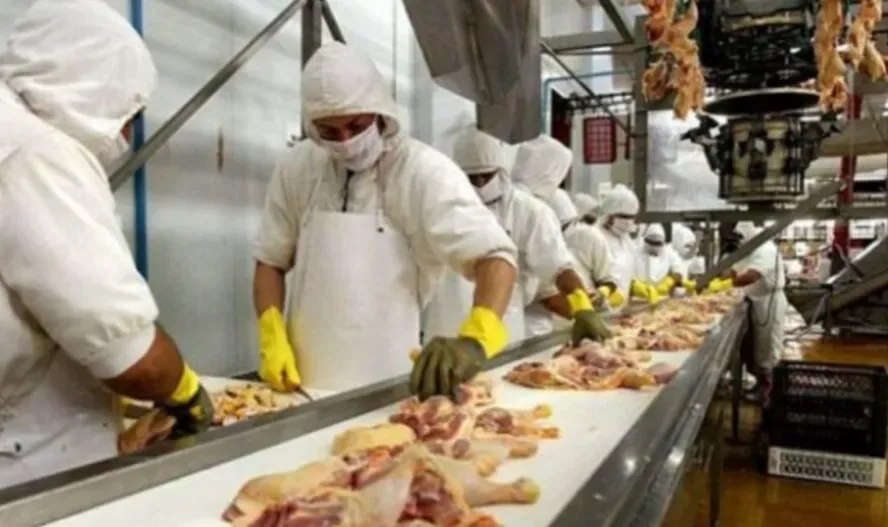 Alimentación acordó una suba salarial del 1,9% para los trabajadores del procesamiento de aves