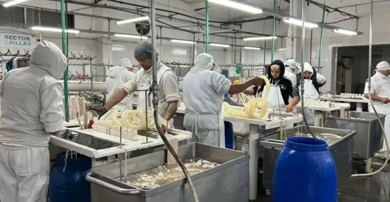 Trabajadores del frigorífico Euro reactivaron sectores de la planta para sostener la actividad