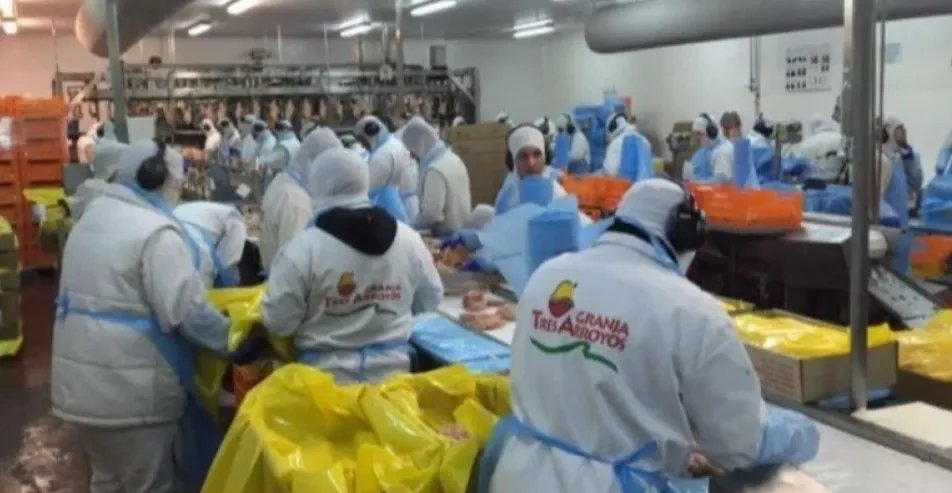 Granja Tres Arroyos en crisis terminal con caída de faena y una deuda millonaria en cheques rechazados